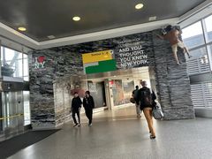 -约翰·菲茨杰拉德·肯尼迪国际机场