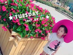 -思念果岭悦温泉