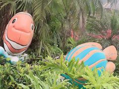 -重庆海昌加勒比海水世界