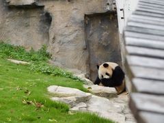 -上海野生动物园