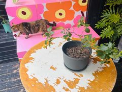 -argangKaffe(宝庆路店)