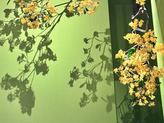 -金链花·泰国餐厅(国贸店)