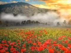 -新疆那拉提国家旅游度假区
