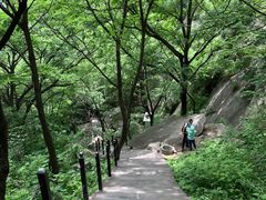 -王顺山国家森林公园
