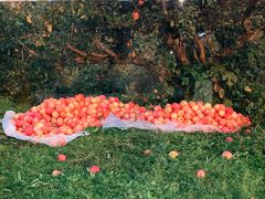 -chi K11艺术空间展览厅