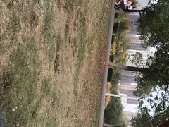 -艾溪湖湿地公园