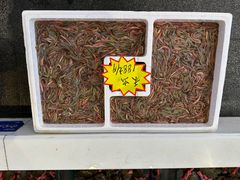 -益利大酒楼(井岸店)