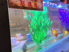 -粗粮人家·东北菜(洋桥店)