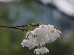 -钱塘江大桥