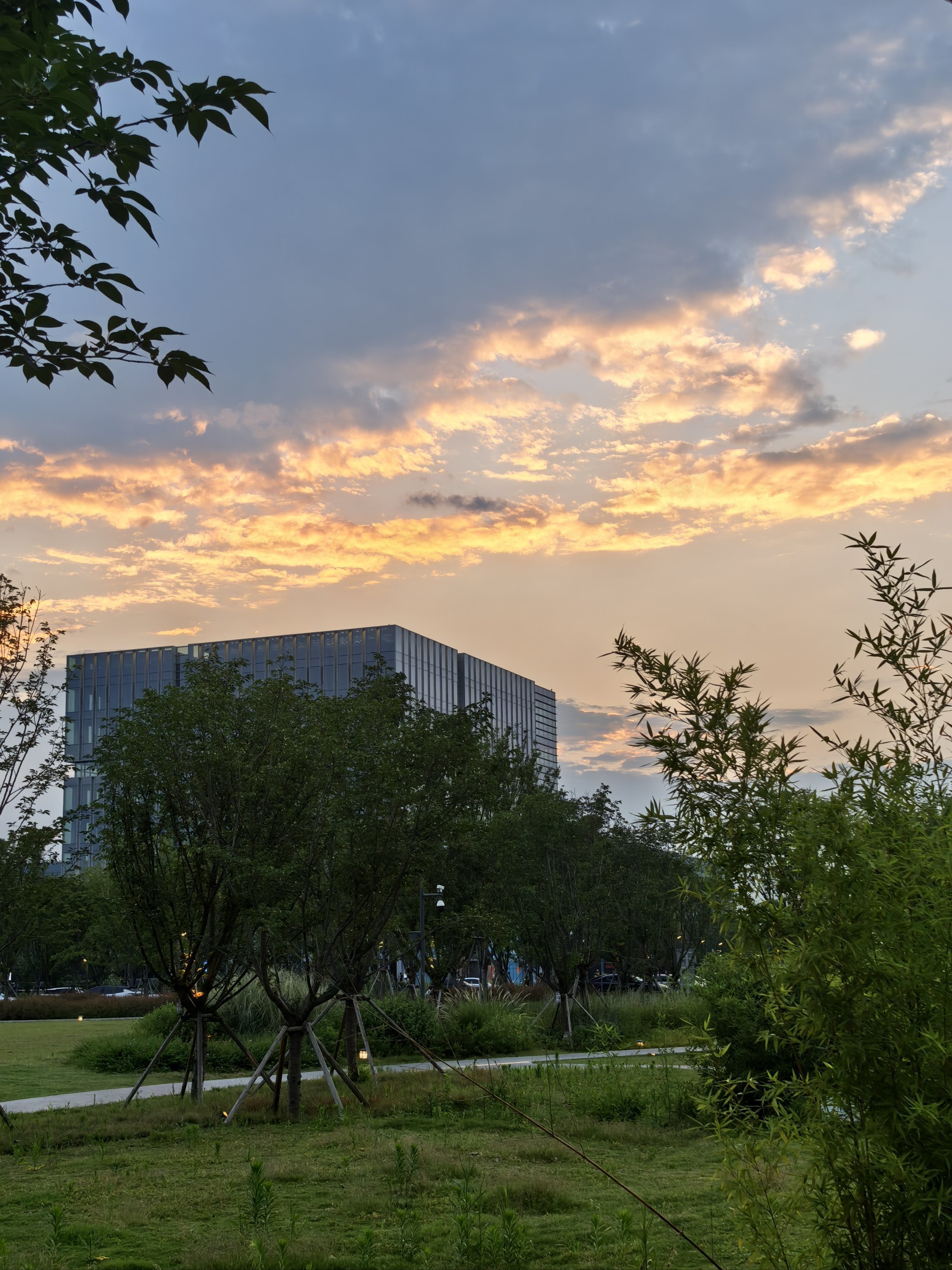 双流这里也好适合拍夕阳