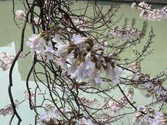 -红星桥(地铁站)