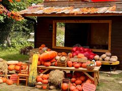 -HERRE·FARM 赫尔露营农场·团建聚会包场