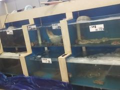 -胶东海鲜大排档(北太平庄店)