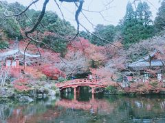 -醍醐寺