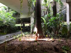 -厝内小眷村(天河南一路店)