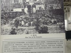 -东南大学(四牌楼校区)