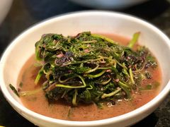 苋菜-金锅小厨(乐活街店)