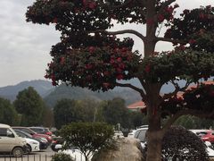-永康小长城