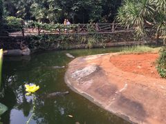 -海南热带野生动植物园