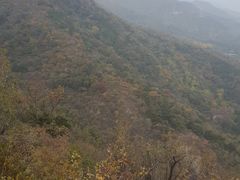 -北京鹫峰国家森林公园