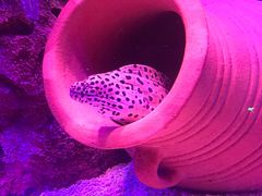 -沈阳海洋探索中心