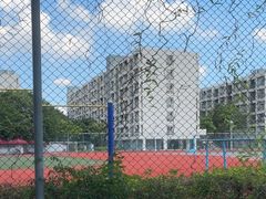 -长洲岛