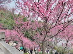-重庆彩云湖湿地公园