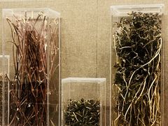 -北京中医药大学-中医药博物馆