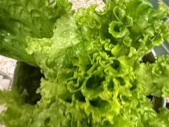 -欧巴烤肉(创富世纪店)