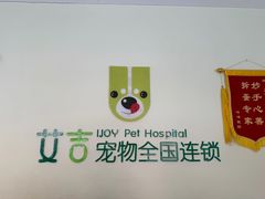 -艾吉宠物医院·疑难杂症转诊中心·猫友好(碧江路院)