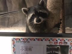 -zoonana室内动物园(东方福来德店)
