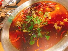 -红牌美蛙鱼头火锅(万辉国际广场店)