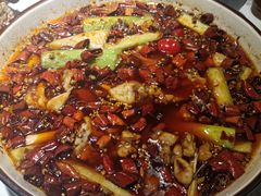 蜀龍•江湖馋嘴蛙-雲蜀龙阁·金牌水煮鱼(方庄店)