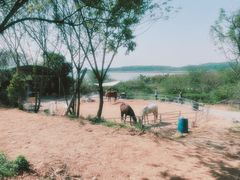 -亮河湾山庄