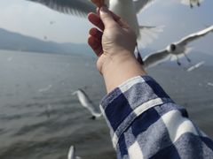 -海埂大坝