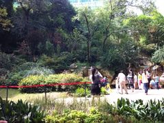 iphone_upload_pic-成都大熊猫繁育研究基地