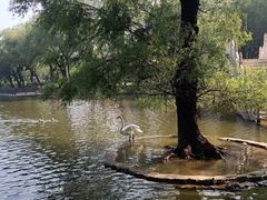 -石家庄市动物园