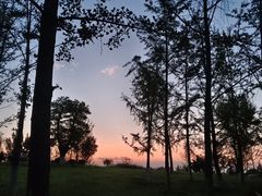 -汉长安城未央宫国家考古遗址公园