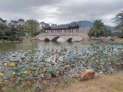 -飞来湖湿地公园