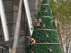 -深圳湾万象城(南山店)