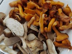 -蘑统田下·野生菌火锅