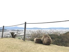 -岚山猴子公园