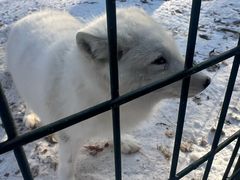 -沈阳奥体冰雪嘉年华