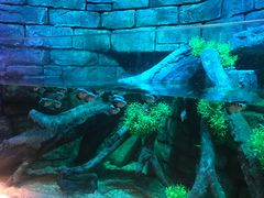 -沈阳海洋探索中心