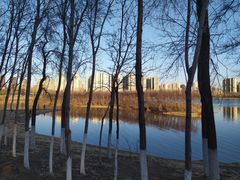 -丁香湖公园