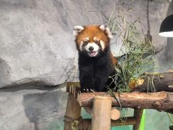 -Zoolung Zoolung动物主题公园(海信广场店)