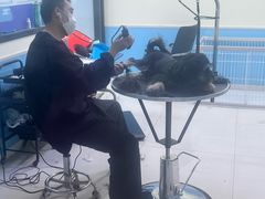 -天宠宠物医院24小时·急重症诊疗中心·全科·腔镜特色(和平分院)