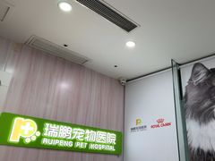 -瑞鹏宠物医院·微创内窥镜·骨外科·牙科(翠竹分院)