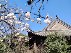 -云龙山