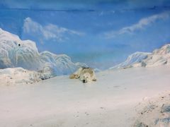 -哈尔滨极地公园